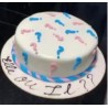 Baby Shower - Fille ou Garçon?