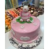 Lapin rose dans les nuages